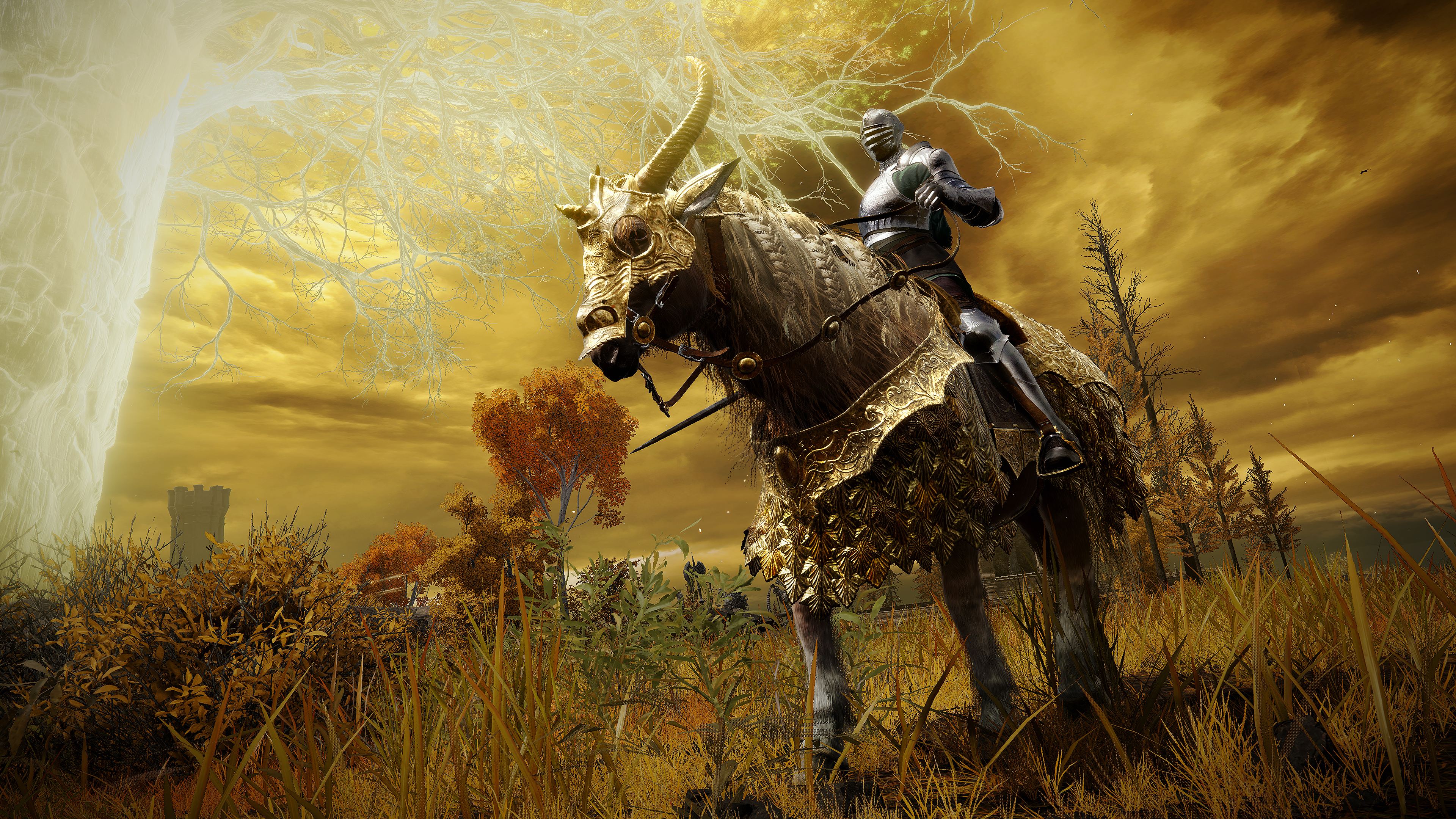 images